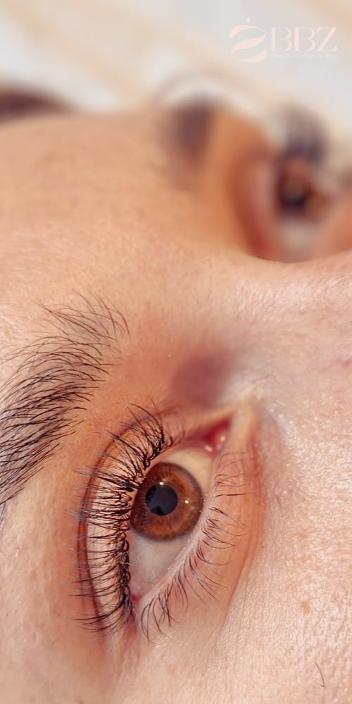 Eyelash-Extensions-Natural-Hybrid-Natural Style-LR003 500x1000